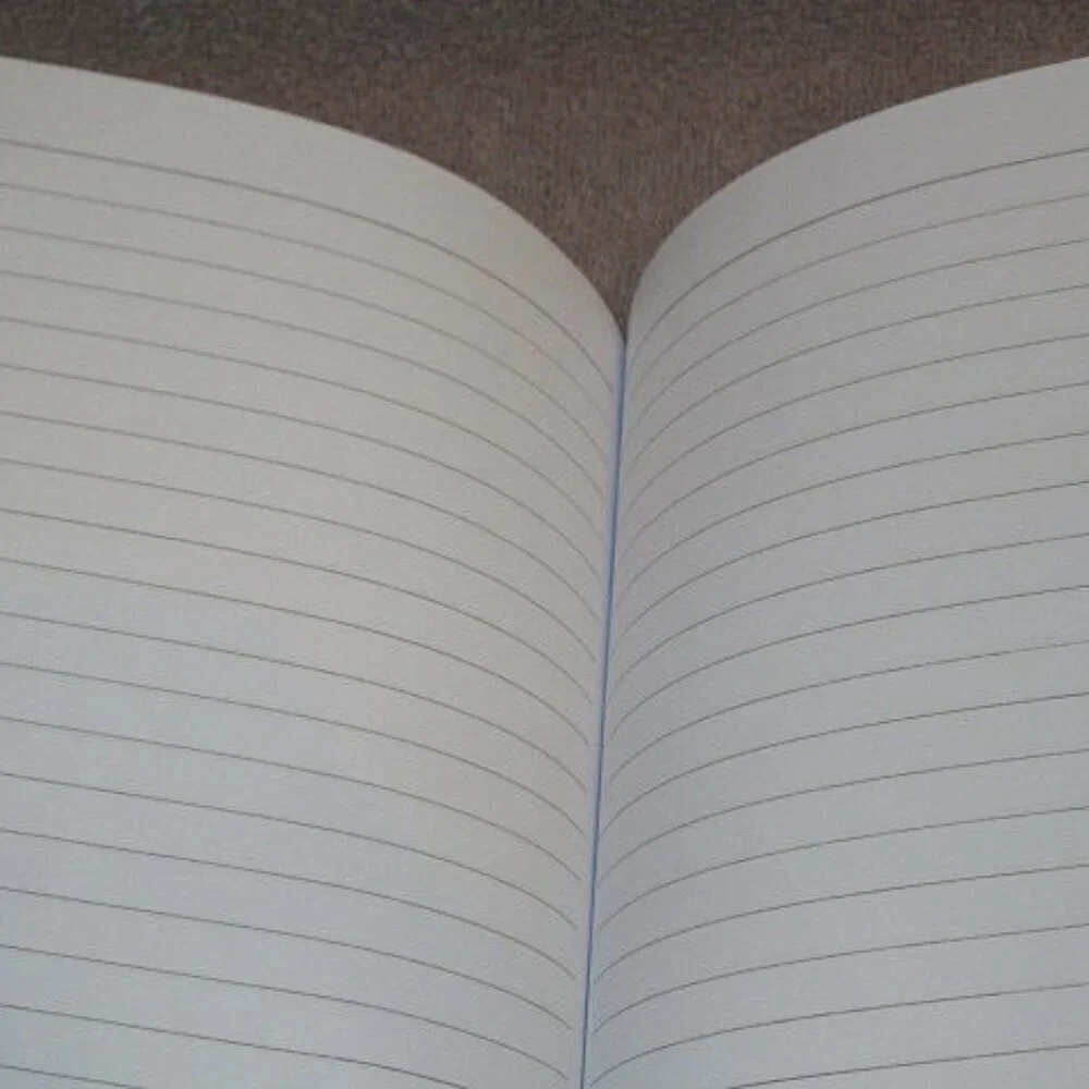 Central 23 Blank Swiftie Fan Journal Diary Song Writing Notebook Lined Lover NEW